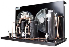 IMG_23